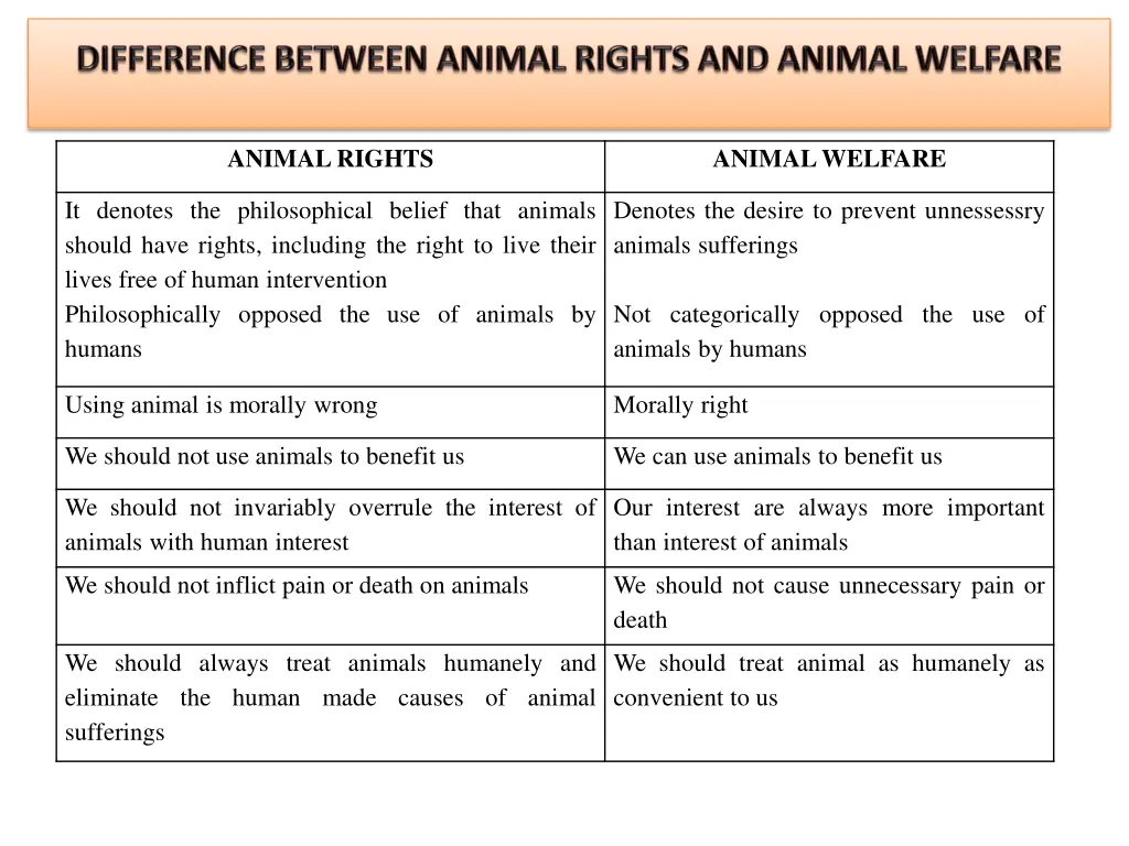 animal rights