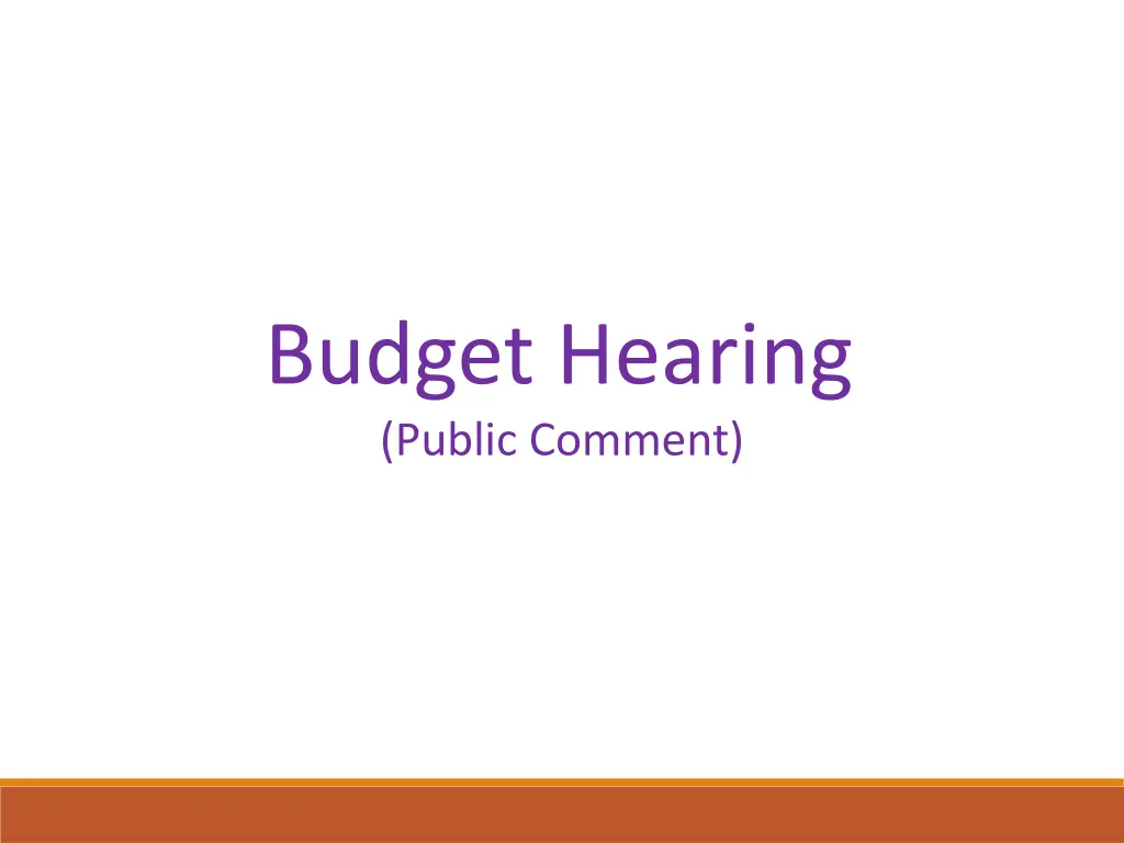 budget hearing public comment