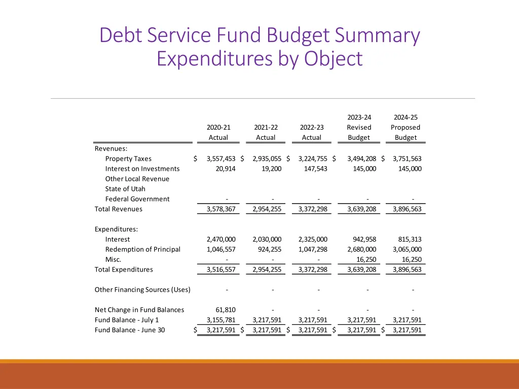 debt service fund budget summary expenditures