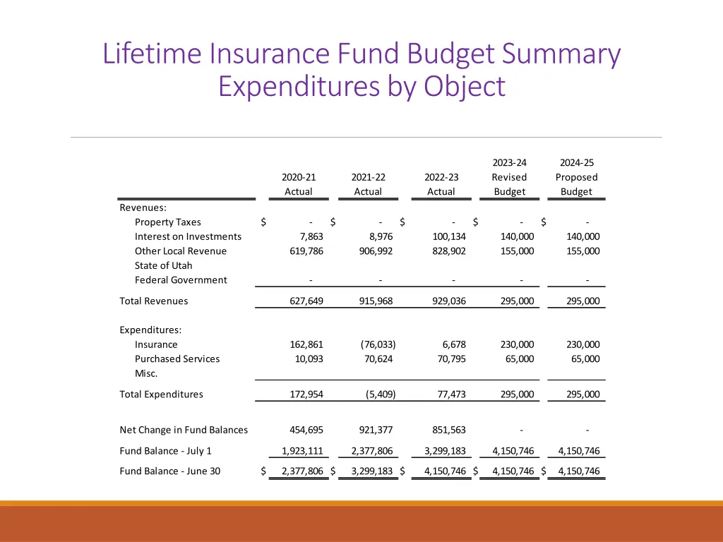 lifetime insurance fund budget summary