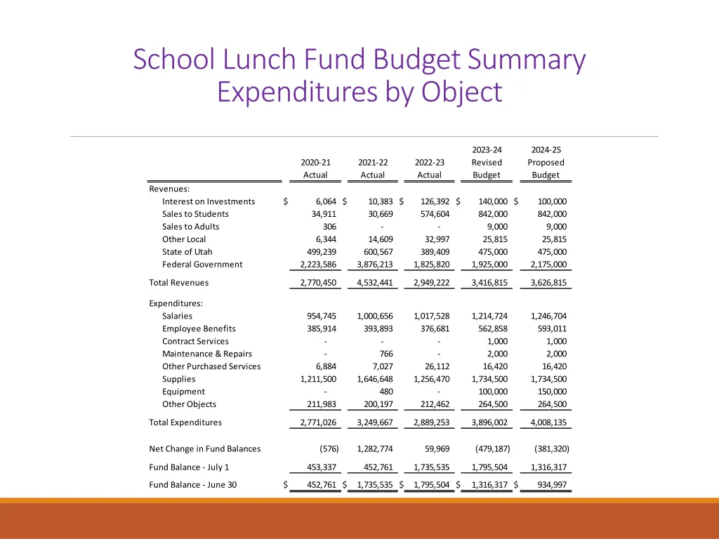 school lunch fund budget summary expenditures