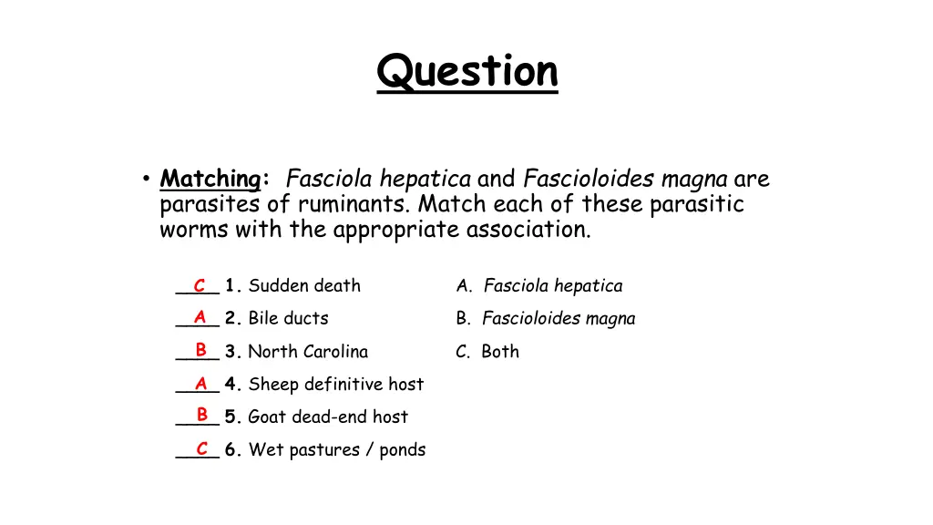 question 5