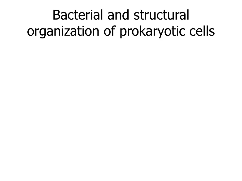 bacterial and structural organization