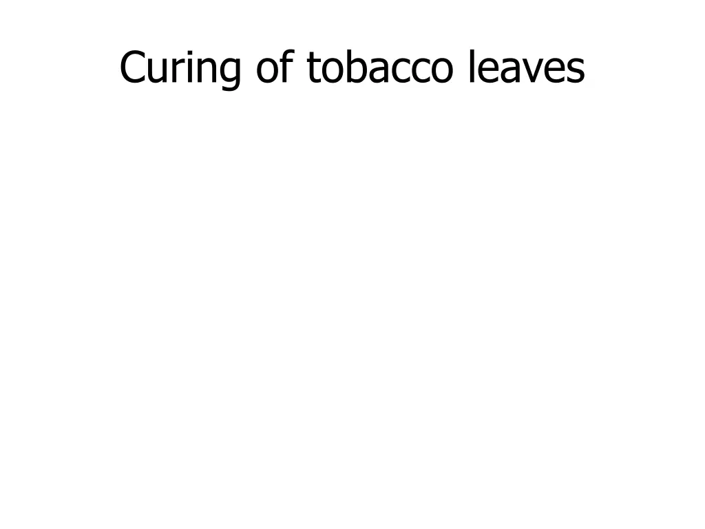 curing of tobacco leaves