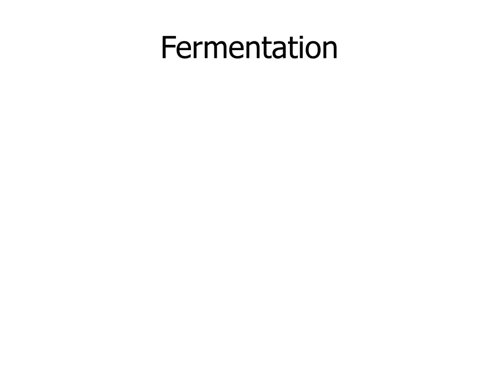 fermentation