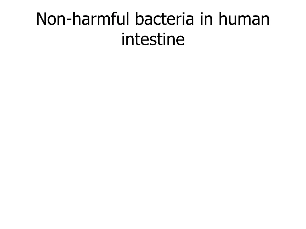 non harmful bacteria in human intestine