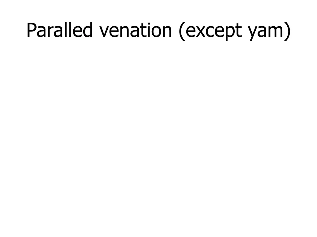 paralled venation except yam