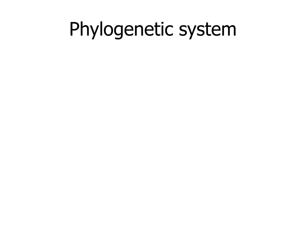phylogenetic system