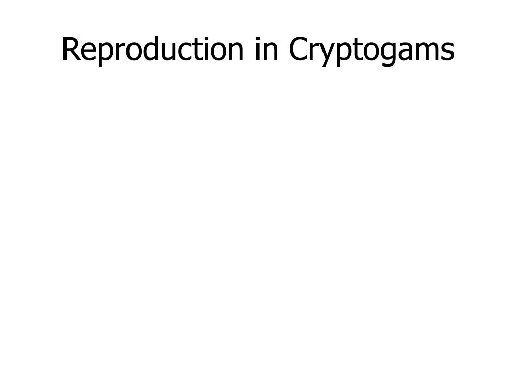 reproduction in cryptogams