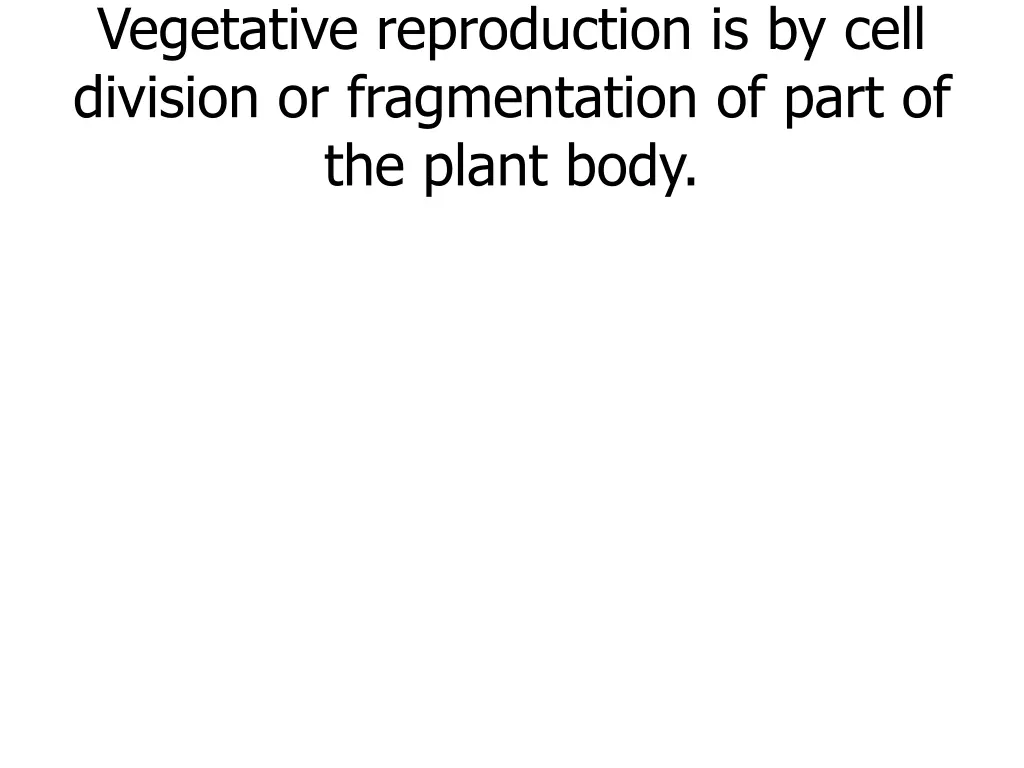 vegetative reproduction is by cell division