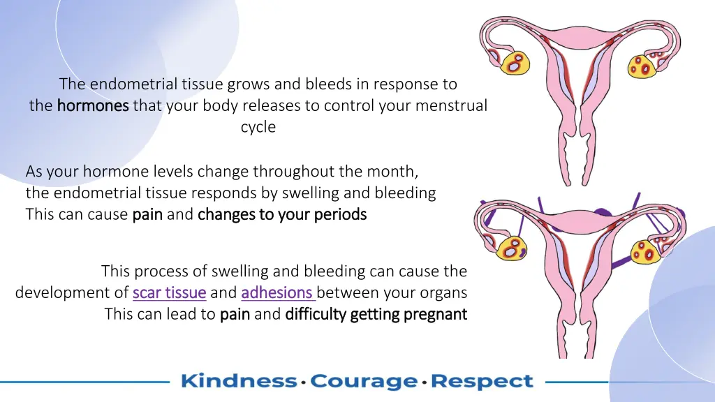 the endometrial tissue grows and bleeds