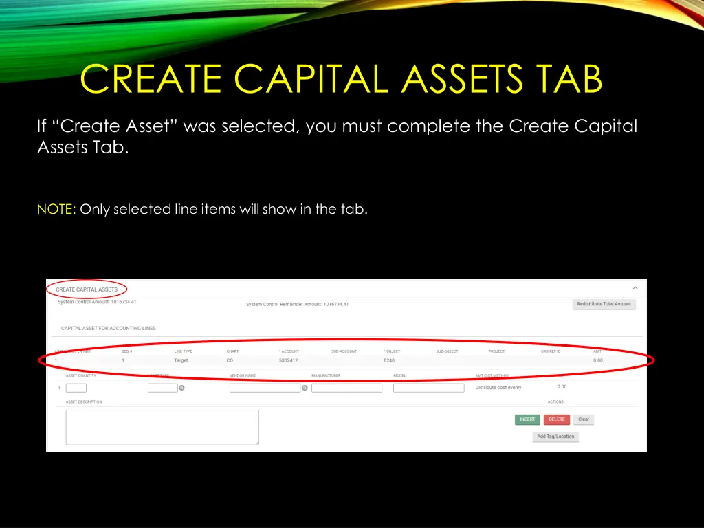 create capital assets tab