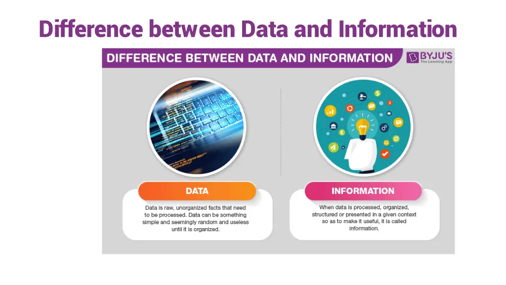 difference between data and information