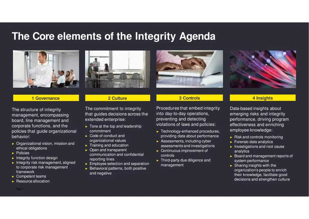 the core elements of the integrity agenda