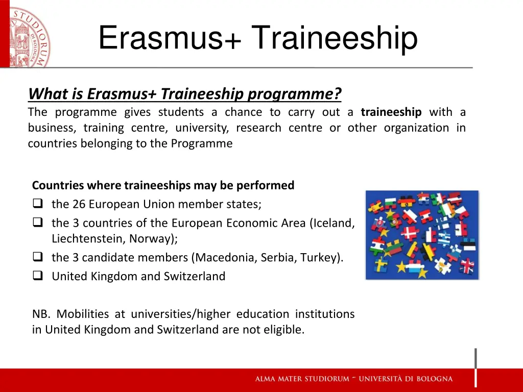 erasmus traineeship 1