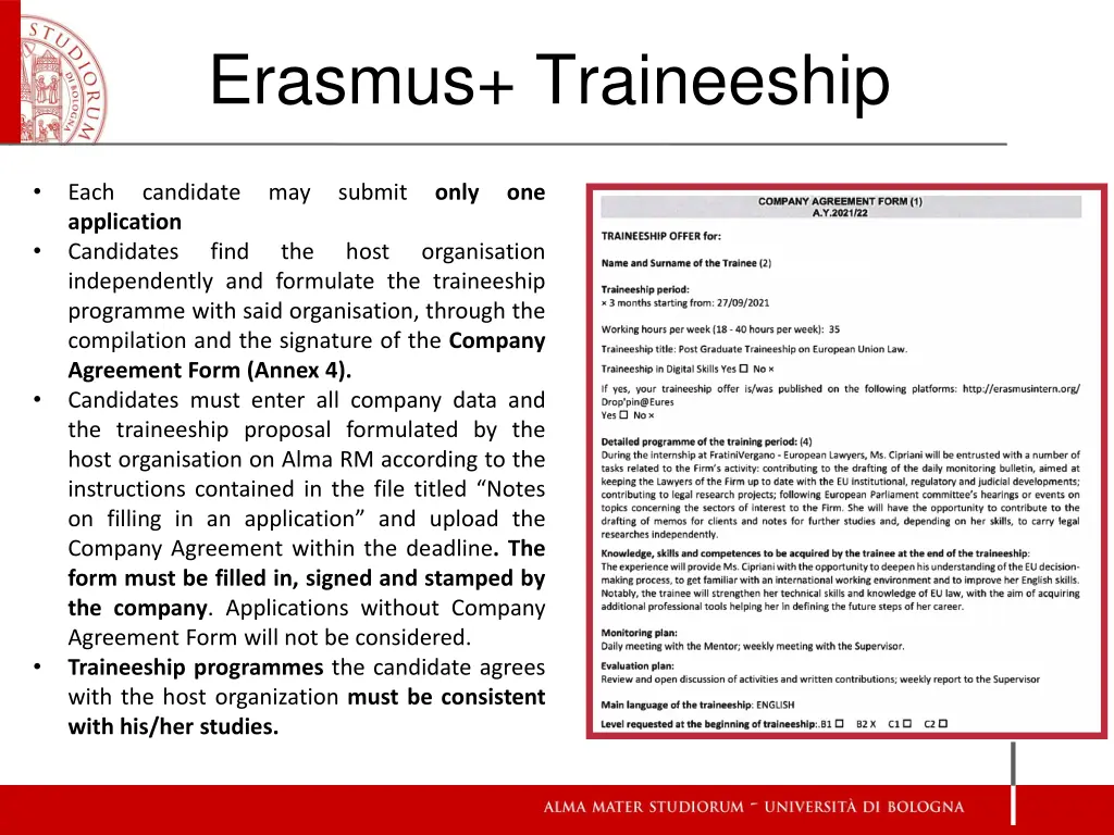 erasmus traineeship 9