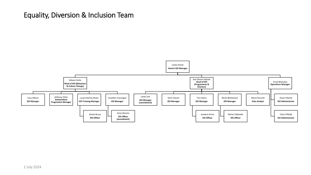 equality diversion inclusion team equality