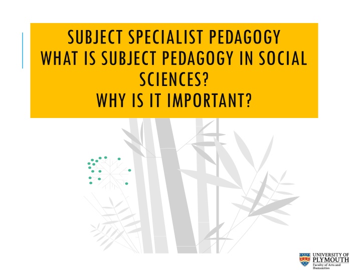 subject specialist pedagogy what is subject