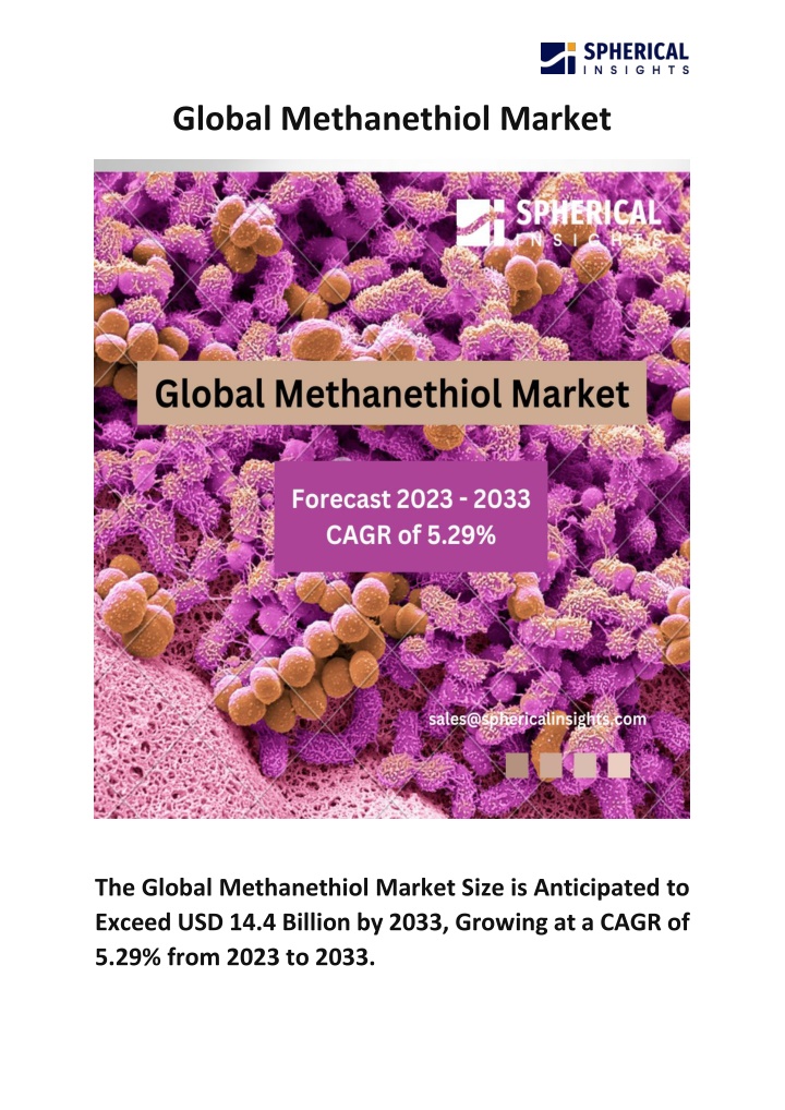 global methanethiol market