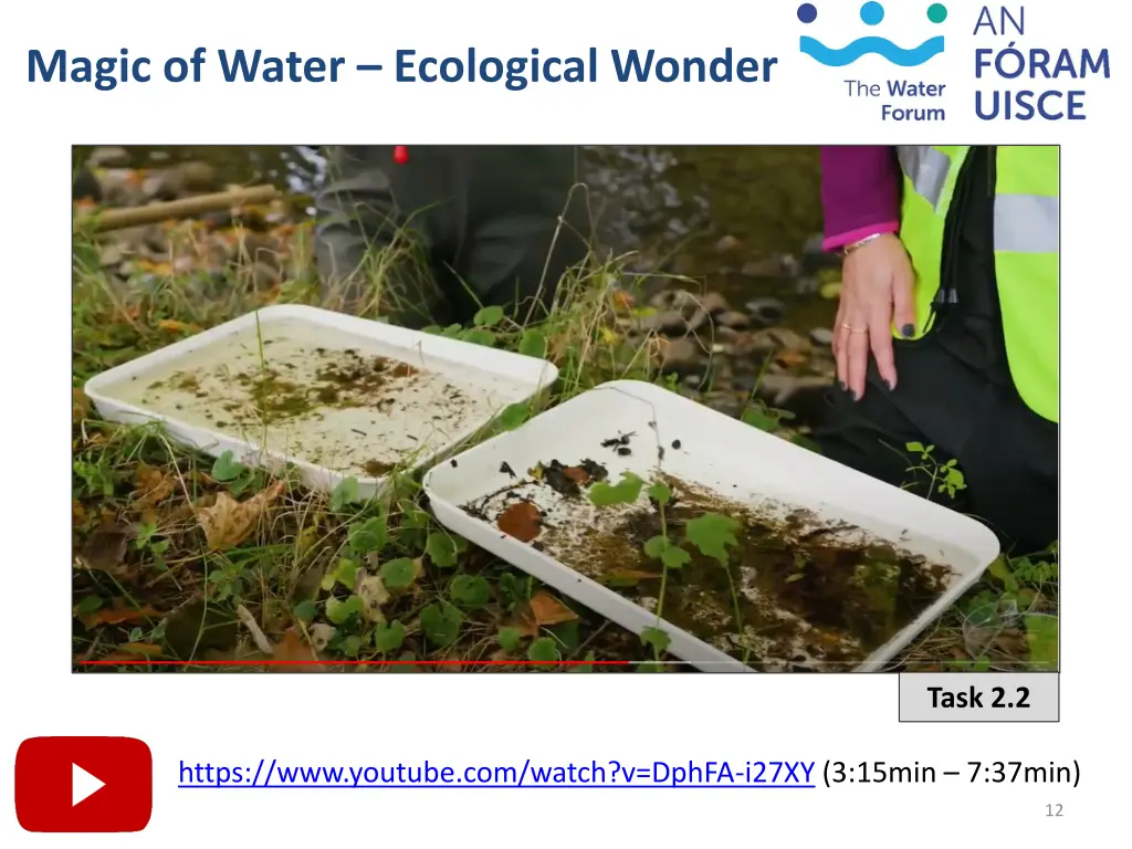 magic of water ecological wonder