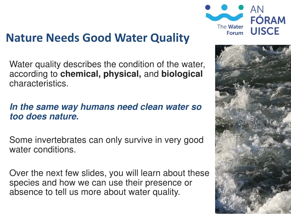 nature needs good water quality
