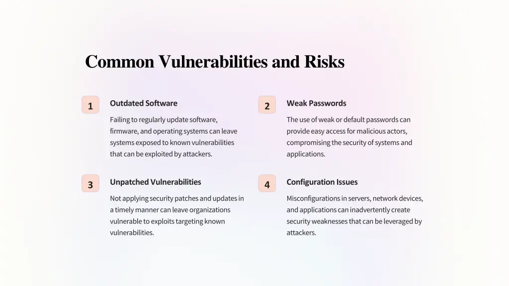 common vulnerabilities and risks