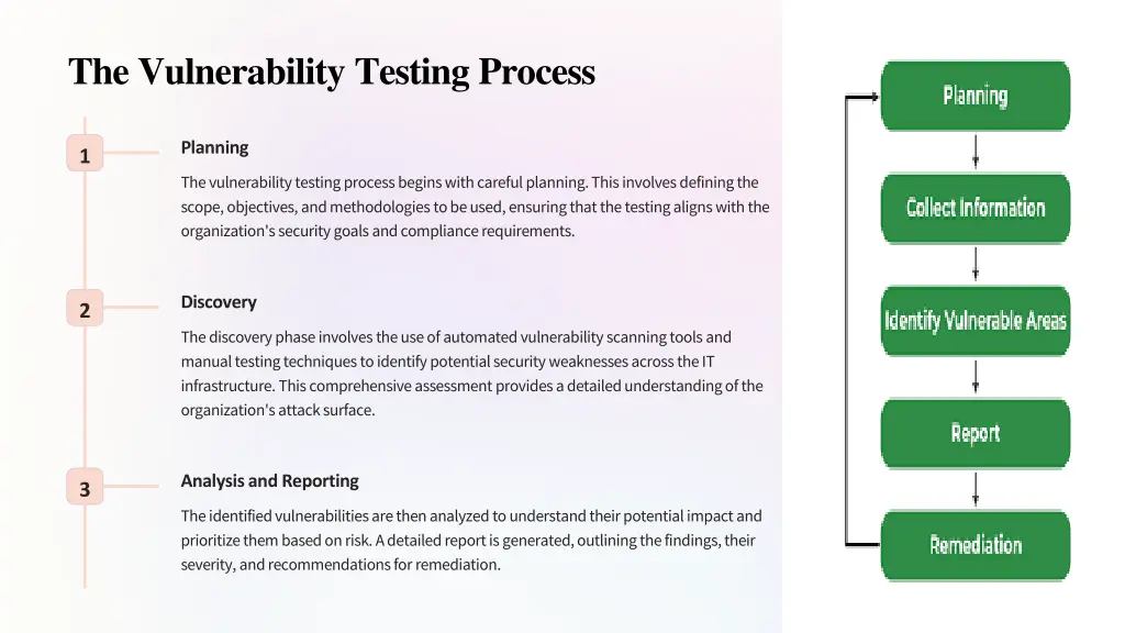 the vulnerability testing process