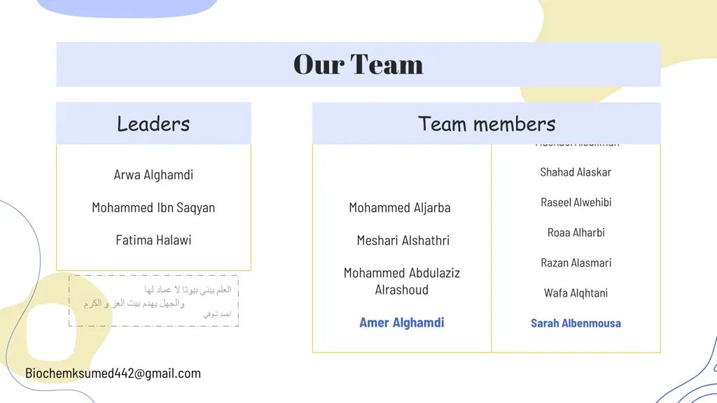 our team