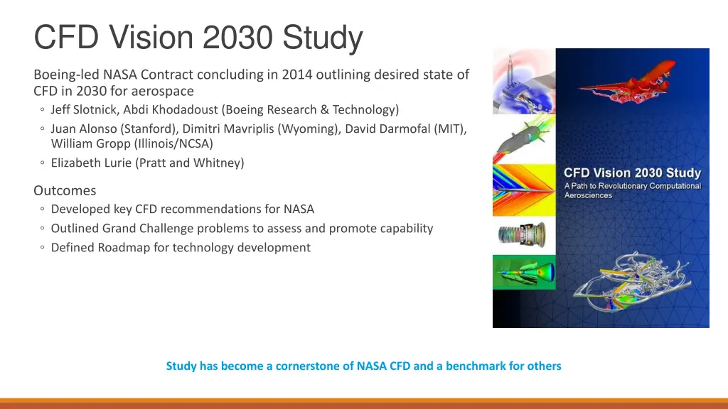 cfd vision 2030 study