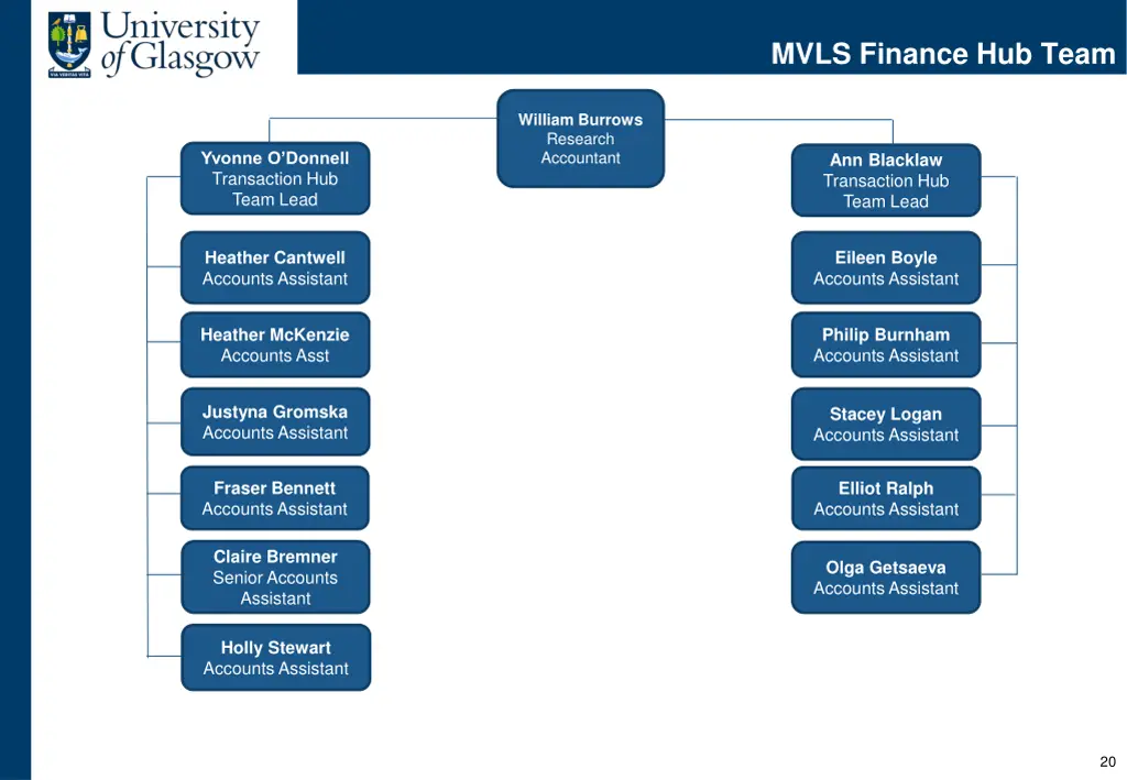 mvls finance hub team