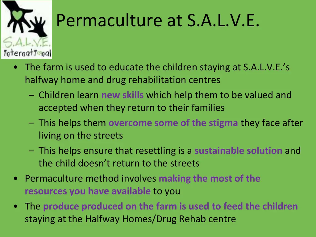 permaculture at s a l v e