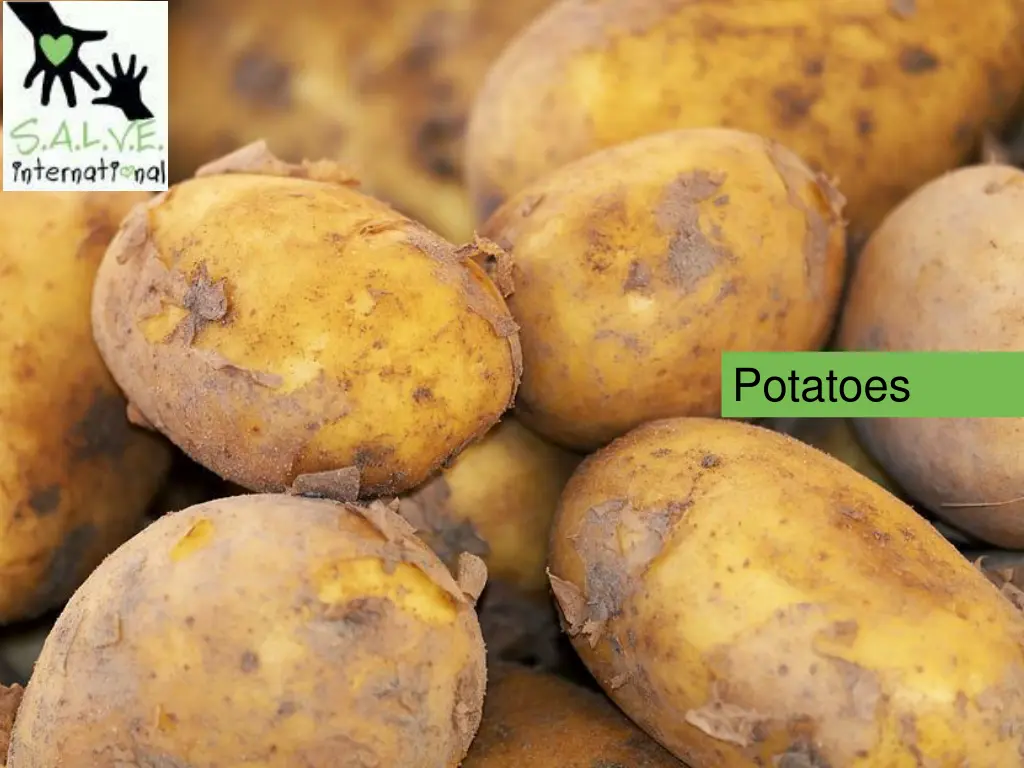 potatoes