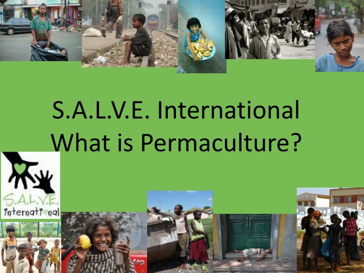 s a l v e international what is permaculture