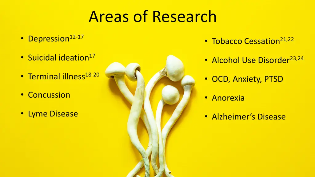 areas of research