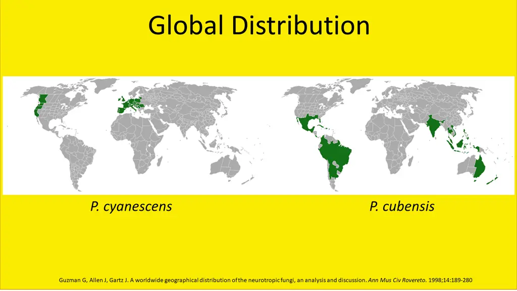 global distribution