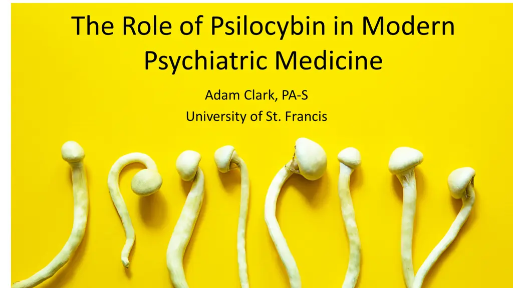 the role of psilocybin in modern psychiatric