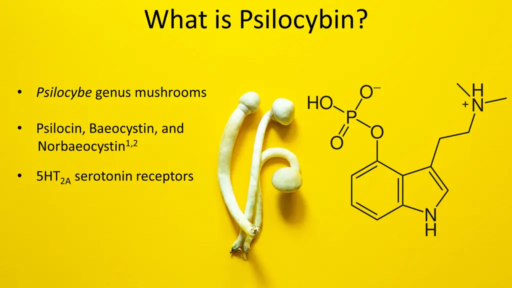 what is psilocybin