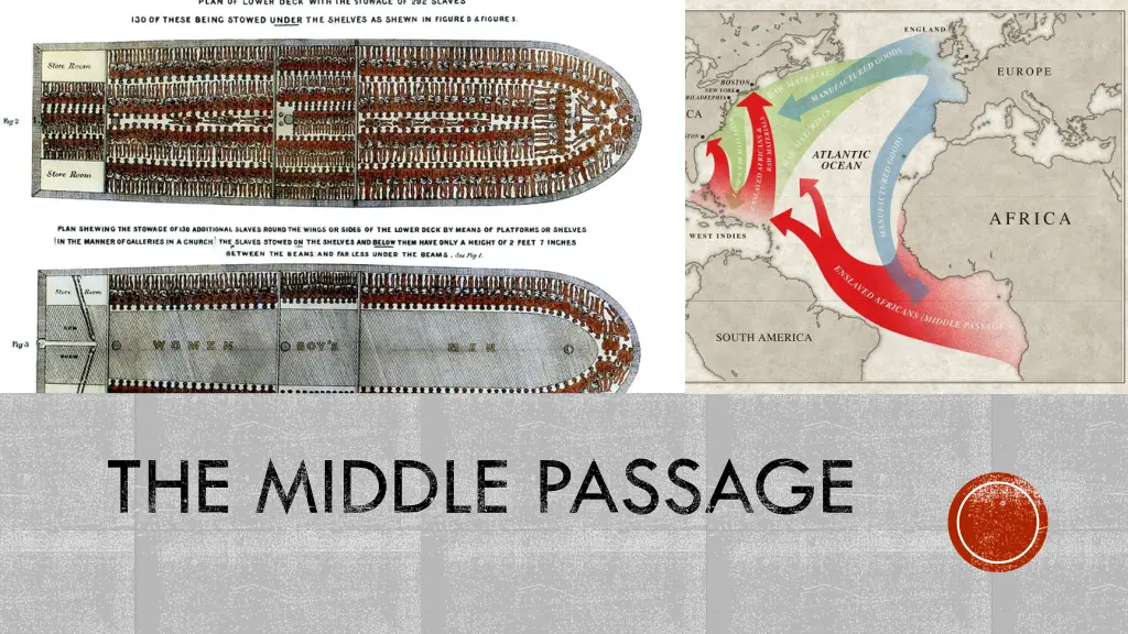 the middle passage