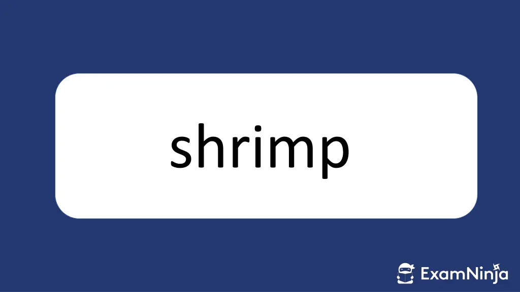 shrimp