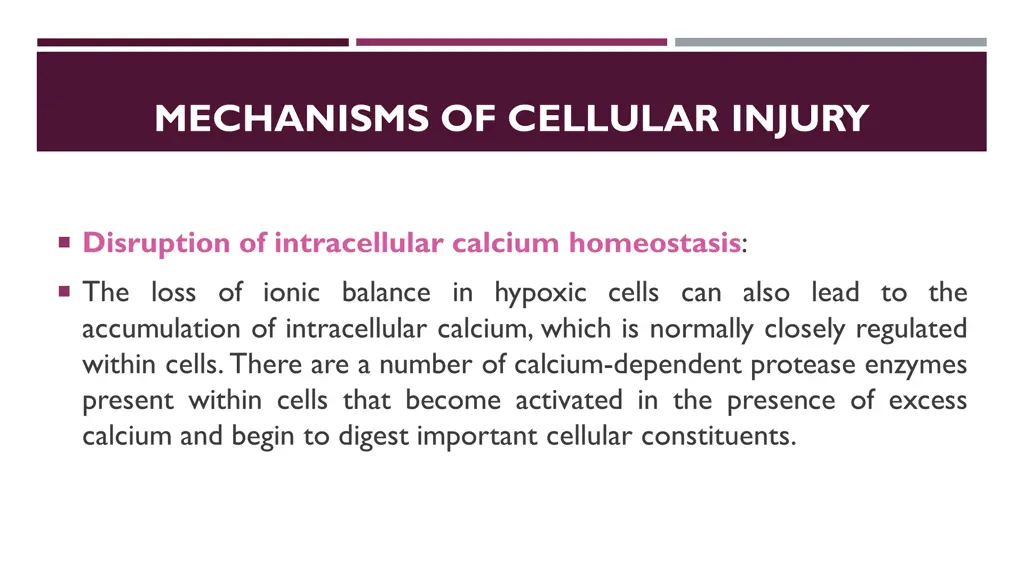 mechanisms of cellular injury