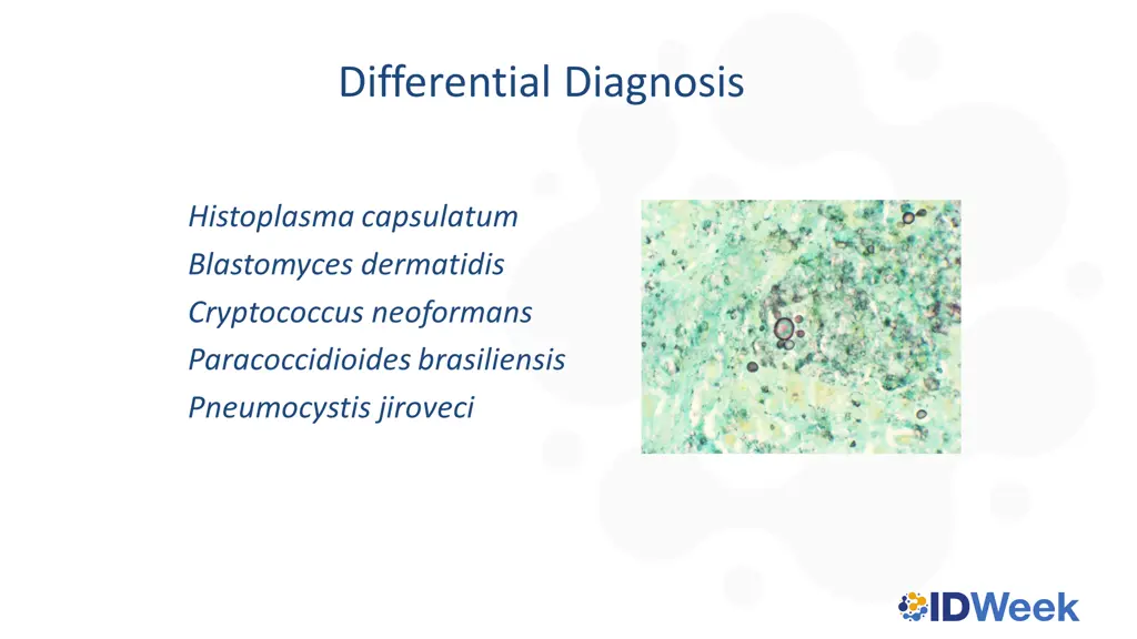 differential diagnosis