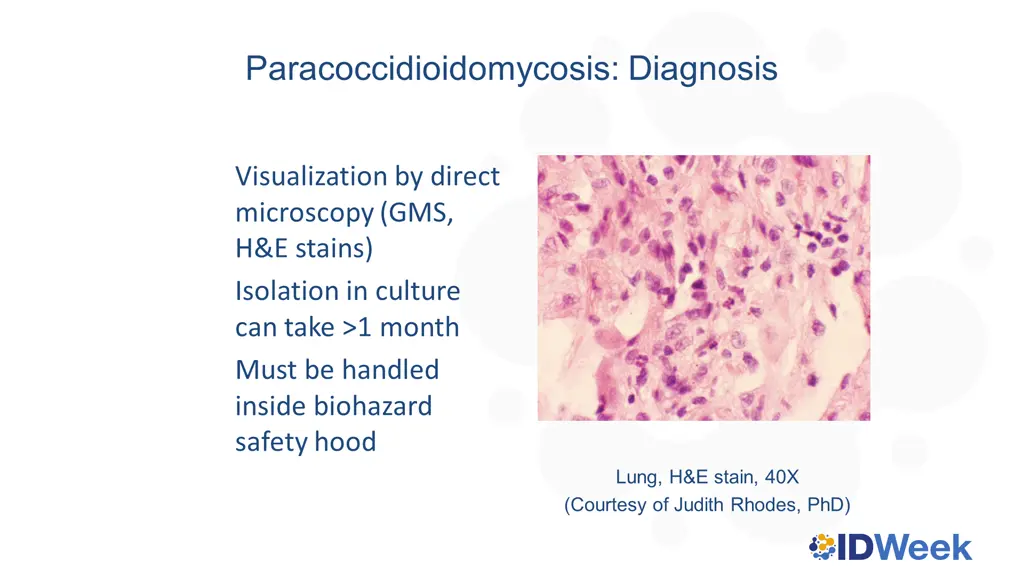 paracoccidioidomycosis diagnosis