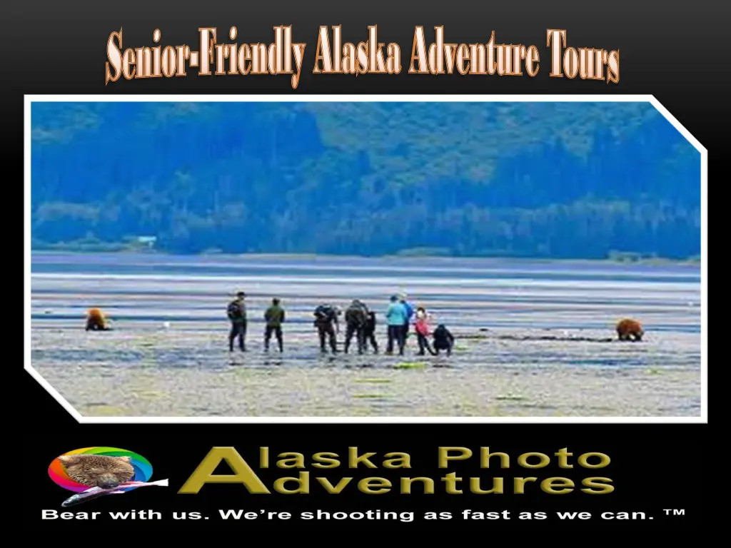 friendly alaska adventure tours friendly alaska 1