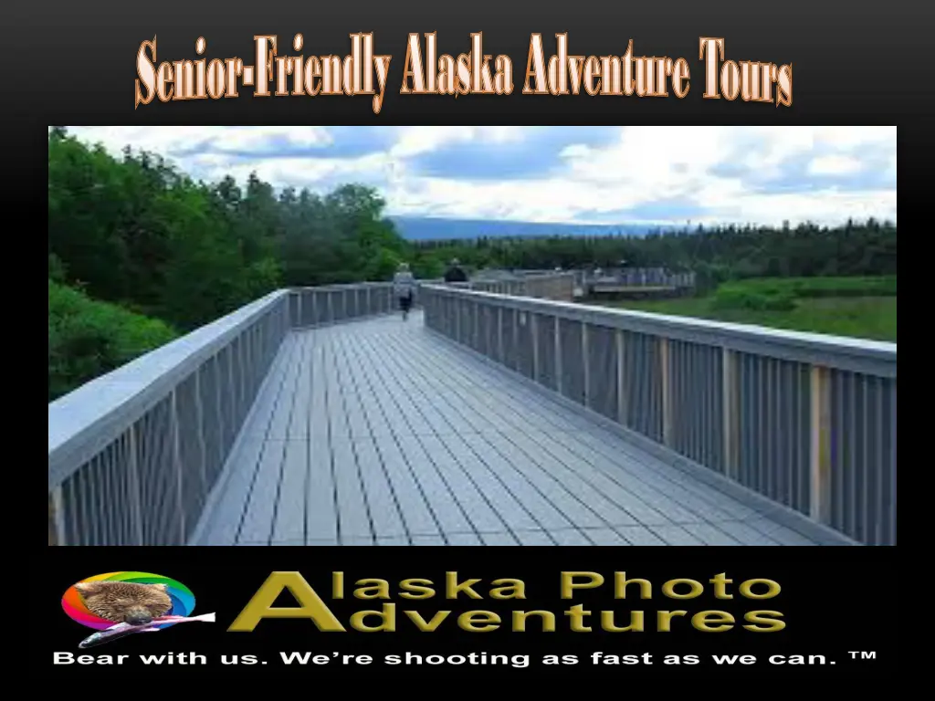 friendly alaska adventure tours friendly alaska 2