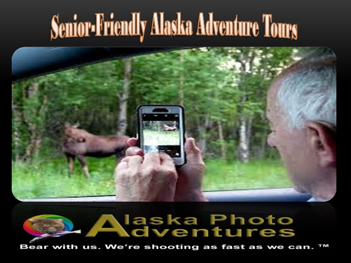 friendly alaska adventure tours friendly alaska