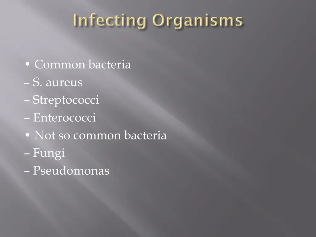 common bacteria s aureus streptococci enterococci