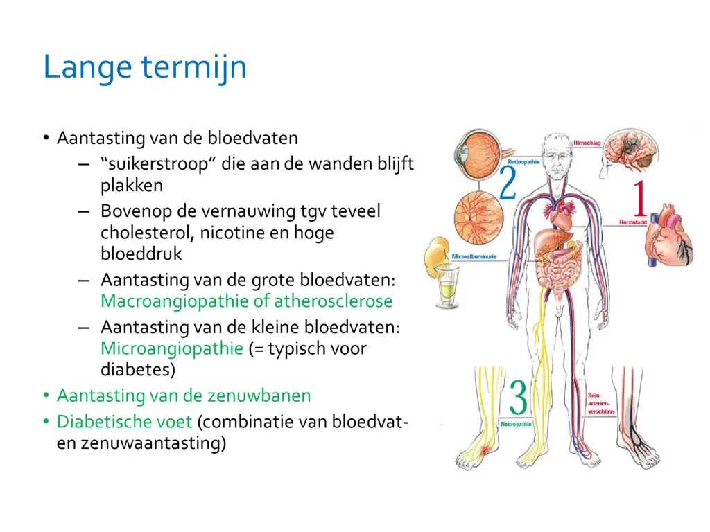 lange termijn