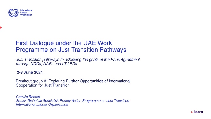 first dialogue under the uae work programme