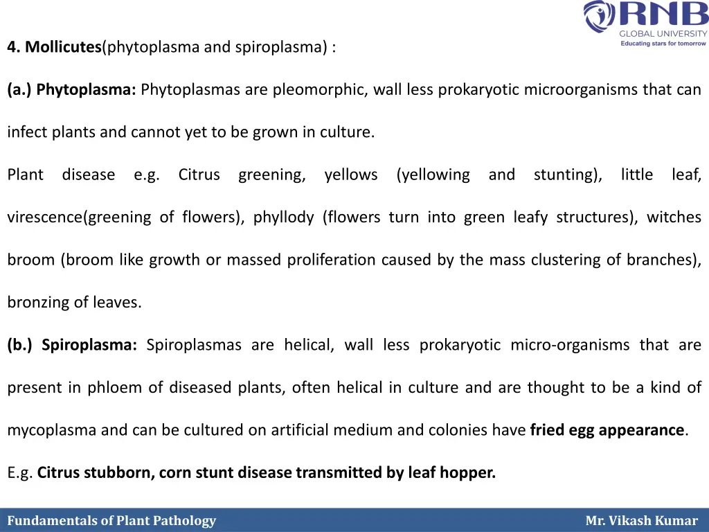 4 mollicutes phytoplasma and spiroplasma