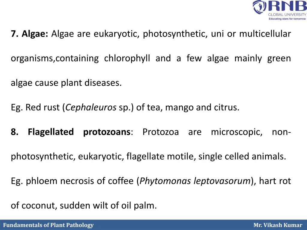 7 algae algae are eukaryotic photosynthetic